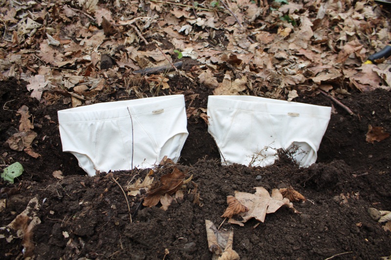 Zwei Unterhosen im Waldboden.