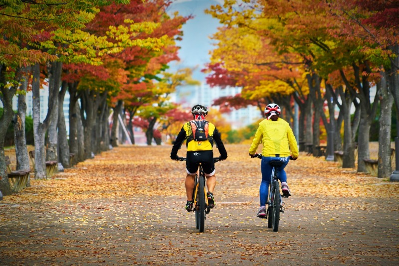 zwei Fahrradfahrer fahren eine mit Herbstbäumen bestandene Promenade entlang
