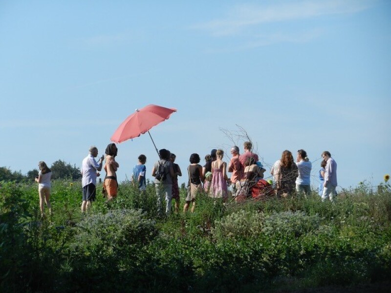 Eine Gruppe Menschen steht auf einem Gemüsefeld.