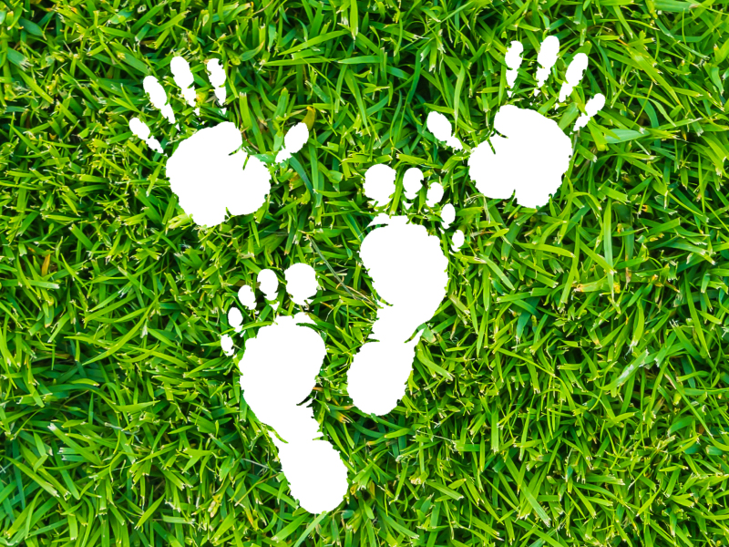 Das Bild zeigt Fuß- und Handabdrücke, die mit Farbe auf einen Rasen gemalt sind.