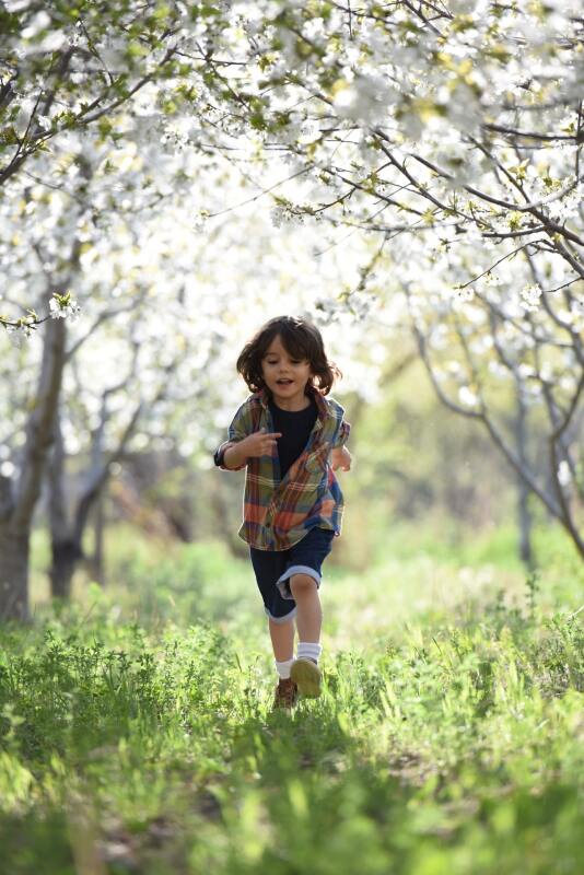 Ein Junge rennt unter blühenden Bäumen