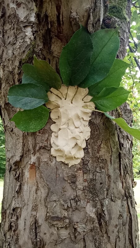 Auf einem Baumstamm ist ein Baum aus Ton und echten Blättern geformt worden.