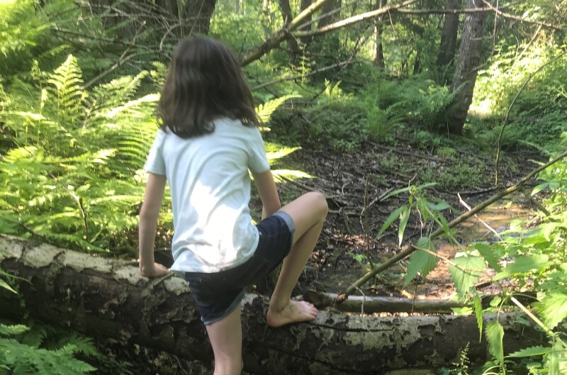 Ein Kind klettert über einen am Waldboden liegenden Baumstamm