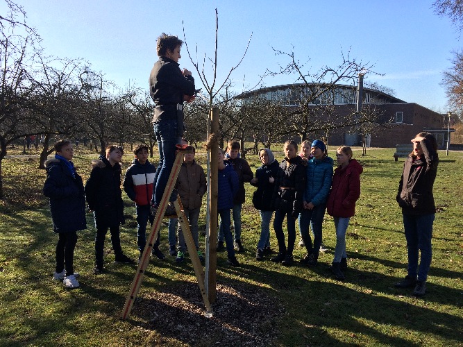 In Zusammenarbeit mit dem Biologischen Zentrum in Lüdinghausen werden neue Obstbäume am St.-Antonius-Gymnasium gepflanzt und gepflegt.