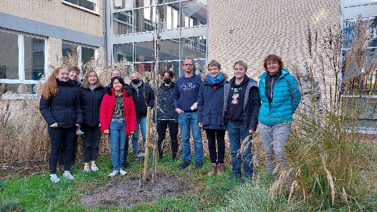 SchülerInnen und LehrerInnen pflanzen einen Apfelbaum im Schulinnenhof