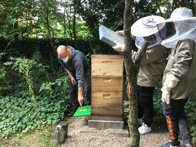 Schüler im WPU helfen bei der Pflege des Bienenstocks.