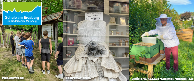 Collage: Schüler aktiv bei den Projekttagen, ein Kleid gefertigt aus alten Büchern, Herr Nieder im Imkeroutfit im grünen Klassenzimmer