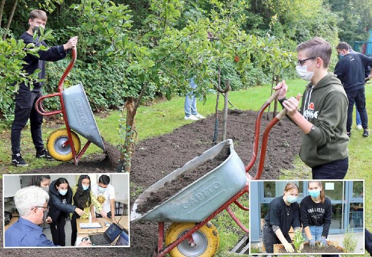 Schülerinnen und Schüler bepflanzen den Blühstreifen im Schulgarten des Kuniberg Berufskollegs