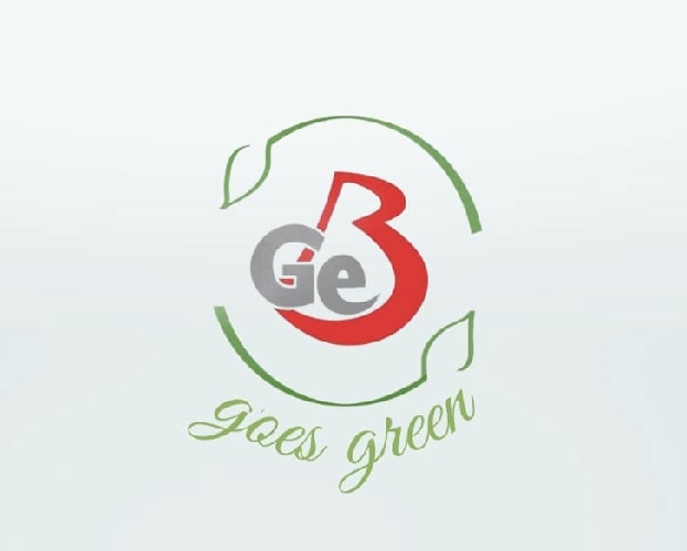 Das Logo besteht aus der Abkürzung GeBo für die Gesamtschule Borbeck. Dabei bildet das O den Kreis um das Logo, welches aus einem großen grauen G und kleinem e besteht. Das B für Borbeck ist dabei rot und ebenfalls groß. Zusätzlich umgeben das Logo zwei grüne Blätter mit dem Logo-Untertitel GeBo goes green.