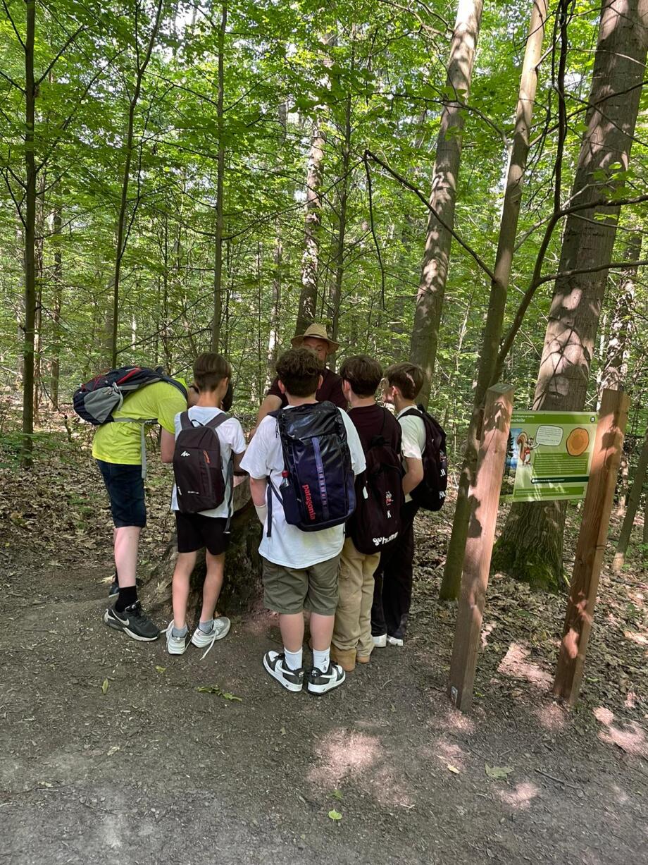 Eine Gruppe von Kindern steht an einer der insgesamt 13 Stationen im Wald