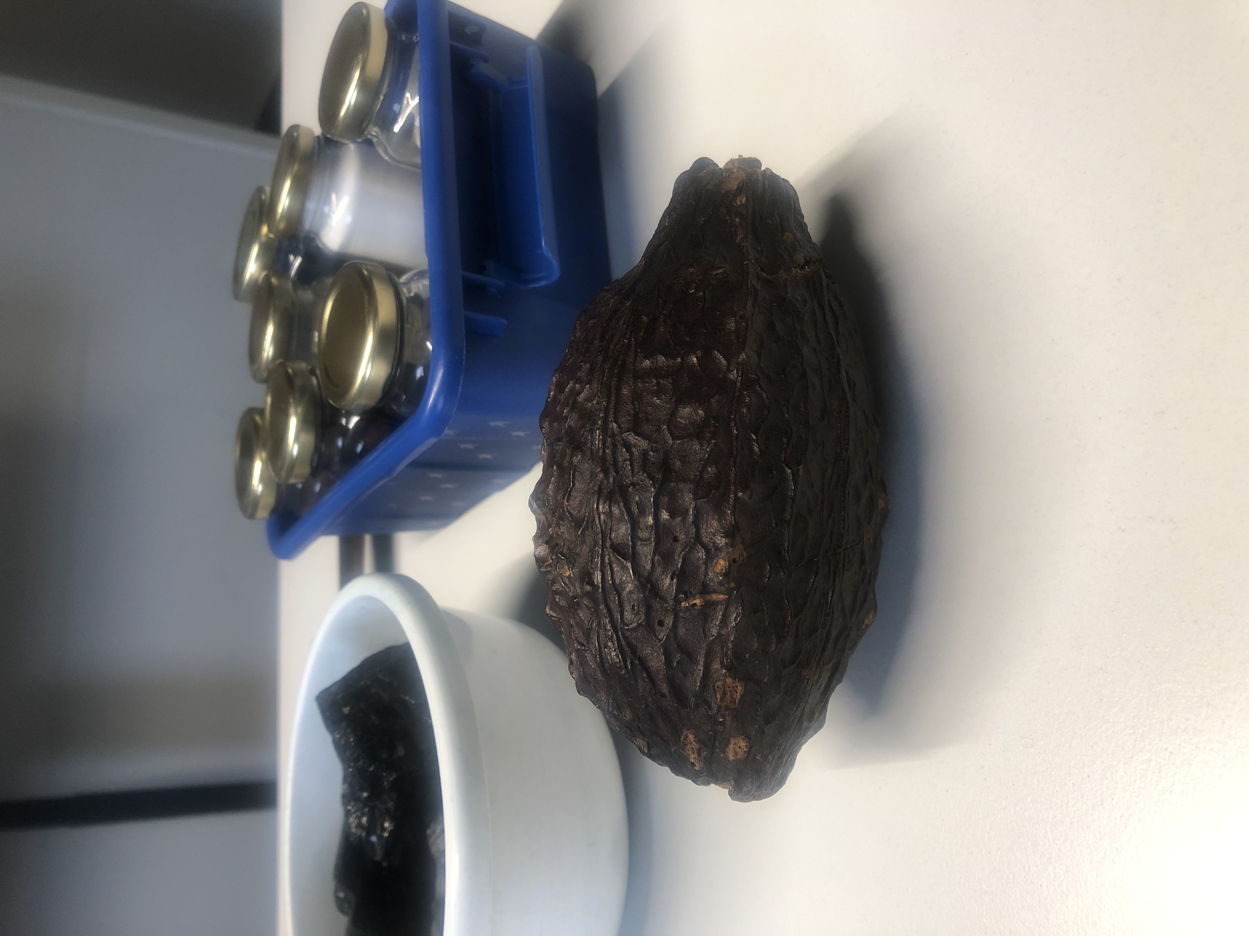 Im Vordergrund befindet sich eine geschlossene Kakaoschote, dahinter sind 7 Gläser mit Zutaten für eine Schokocreme zu sehen.