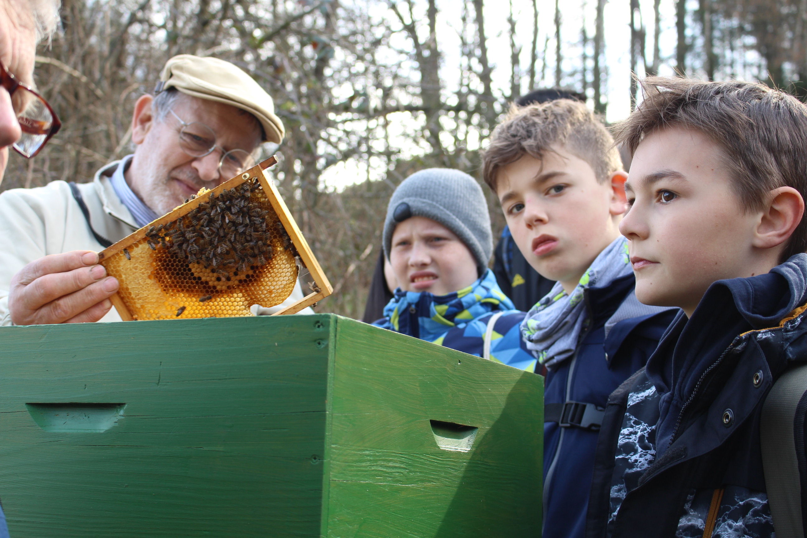 Schülerinnen und Schüler betrachten den Bienenstock und eine Wabe