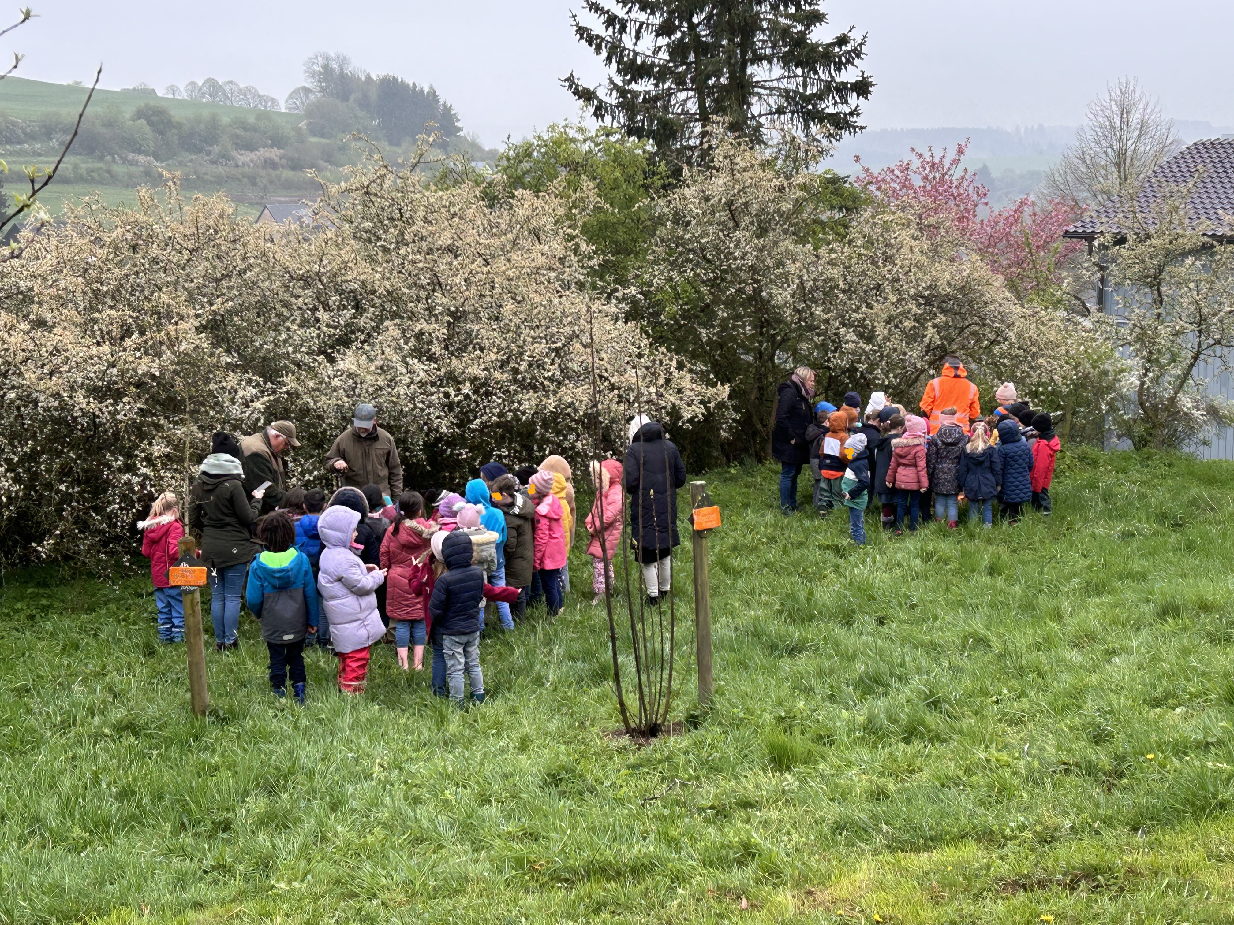 Kinder auf einer Wiese im Schulwald pflanzen ihre Klassenbäume