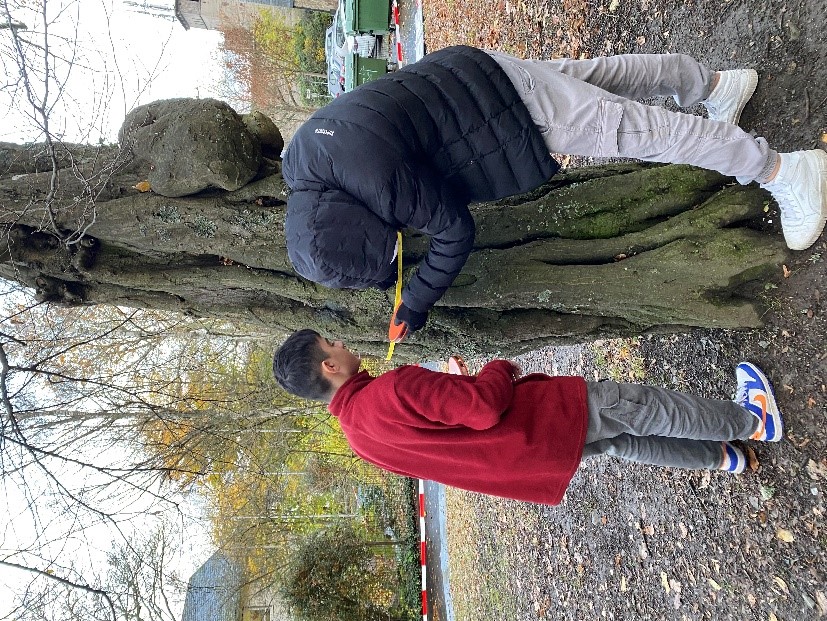 Zwei Schüler vermessen einen Baum um das Alter zu bestimmen