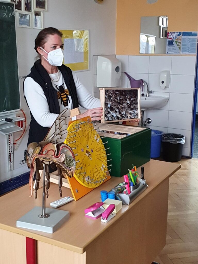 Frau Drößler präsentiert ihren ZuhörerInnen ein anatomisches Steckmodell einer Biene, ein Glücksrad mit bienenspezifischen Fragestellungen und eine handelsübliche Schaubeute mit 11 Wabenmodulen und Inhalt.