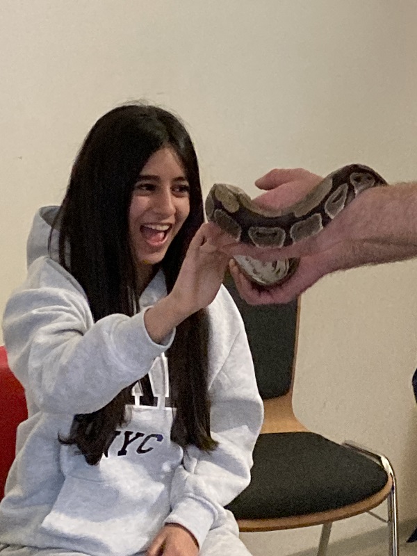 Ein begeistertes Mädchen streichelt einen Python.