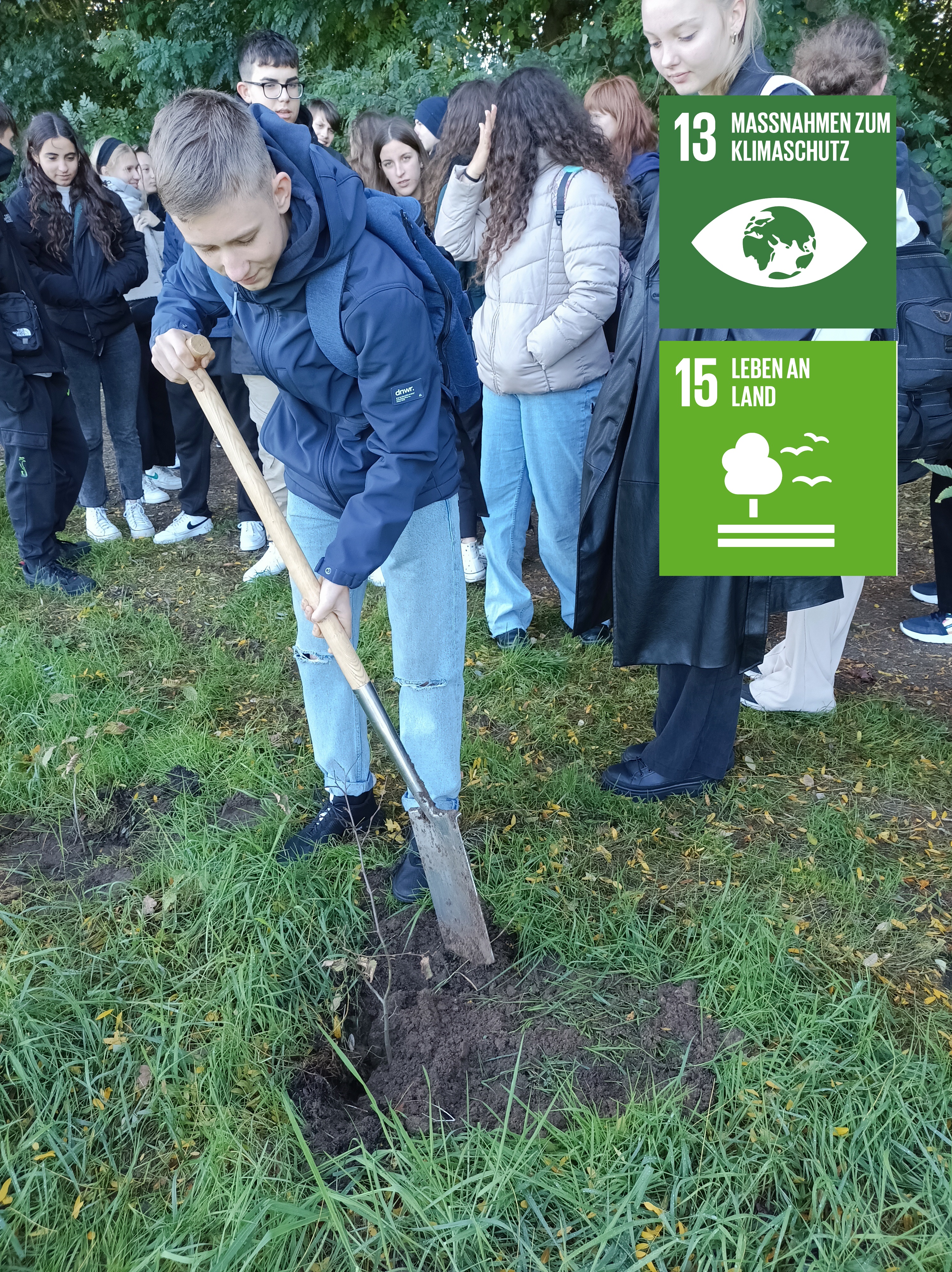 Erasmus schülerinnen und Schüler pflanzen Bäume für das Klima