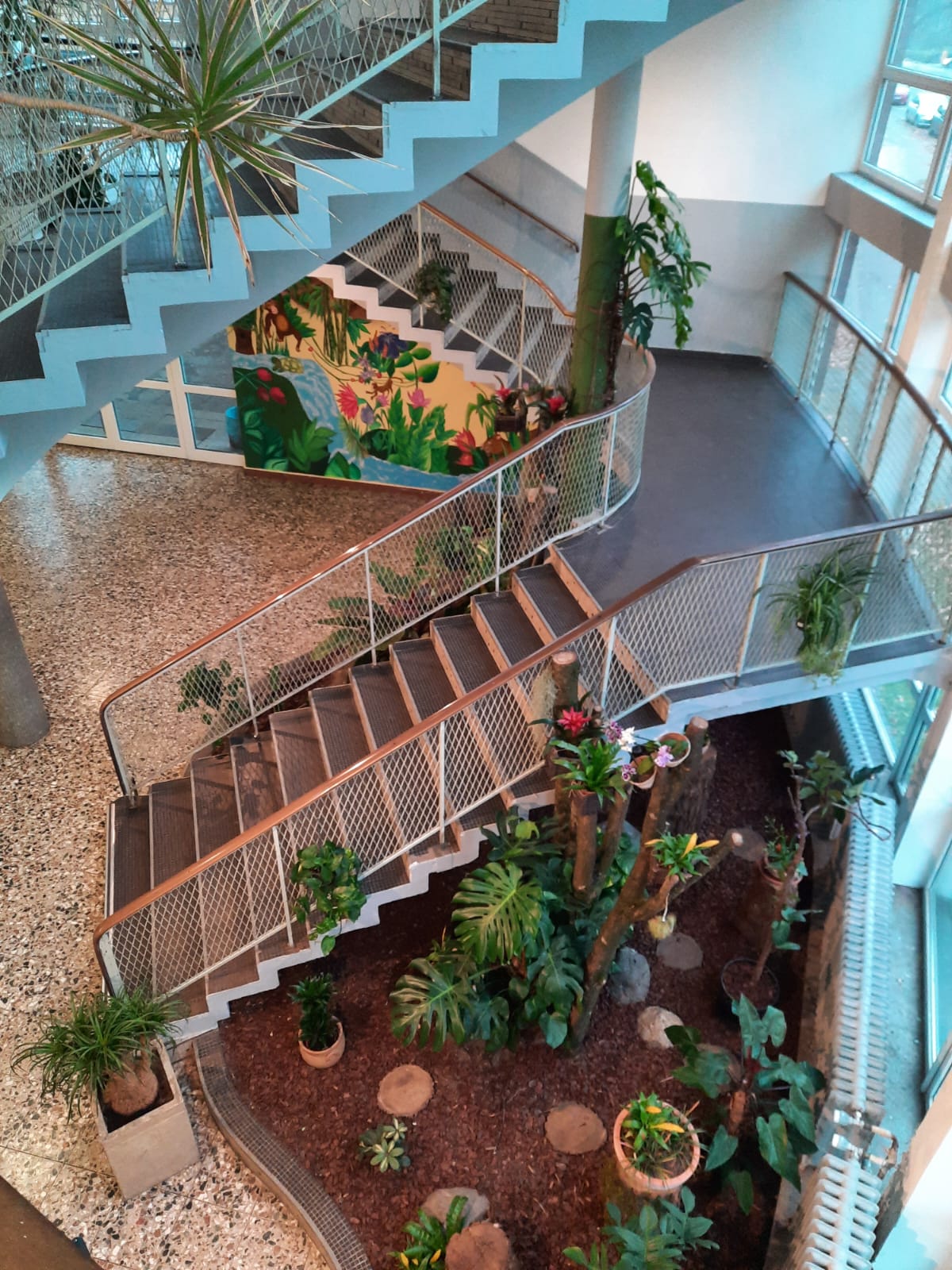 Gesamtbild des tropischen Eingangsbereichs mit Bromelien, Orchideen, Tillantien, kombiniert mit Grünpflanzen und Baumstämmen